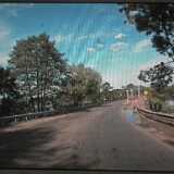 DSCF6569