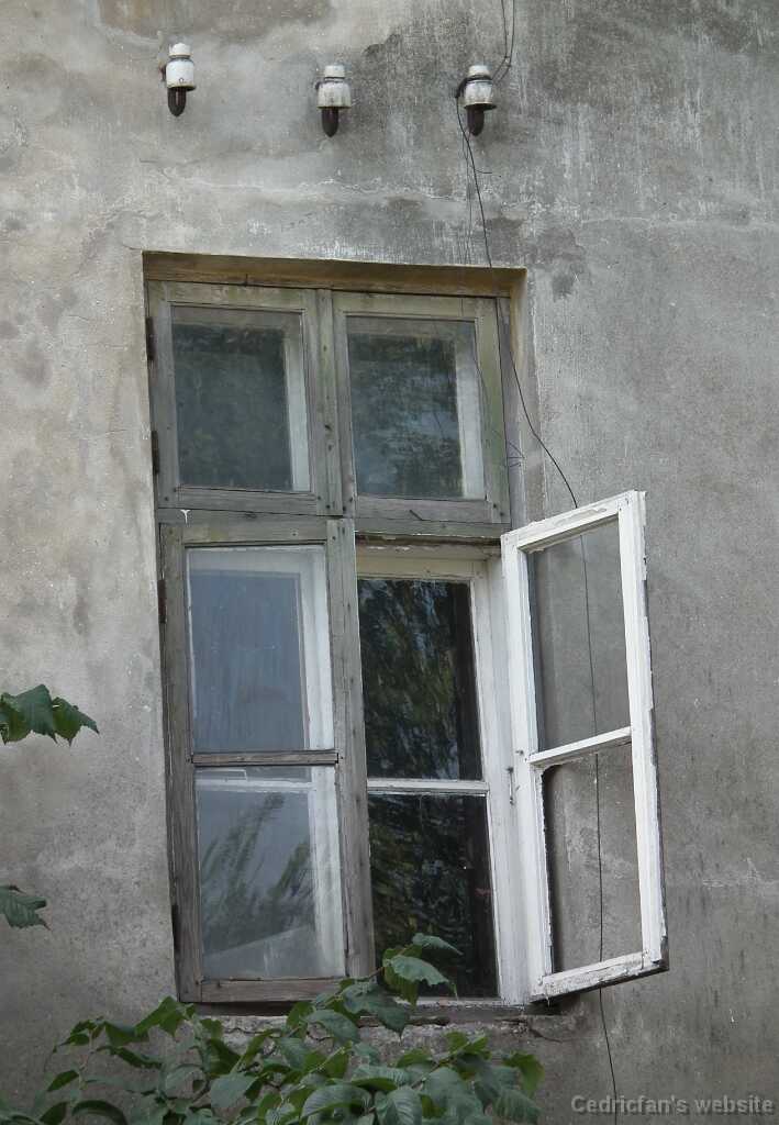 DSCF7117