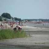 DSCF7133