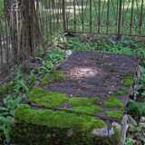 DSCF7143