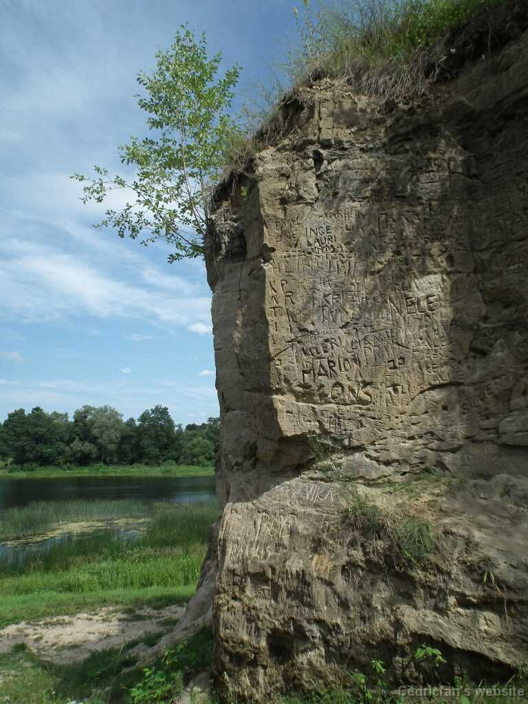 DSCF7063