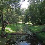 DSCF7043
