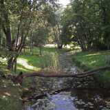 DSCF7044