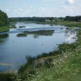 DSCF7059