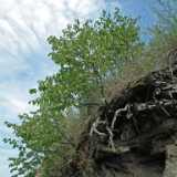 DSCF7062