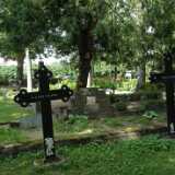 DSCF7079