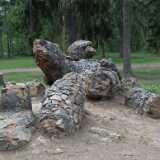 DSCF7029