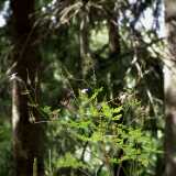 DSCF7039