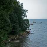 DSCF7164