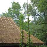 DSCF7167