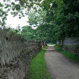 DSCF7179