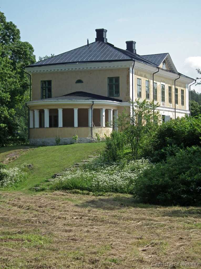 DSCF6729