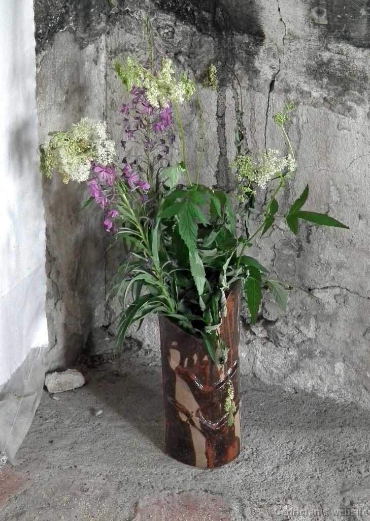 DSCF6748