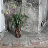 DSCF6747