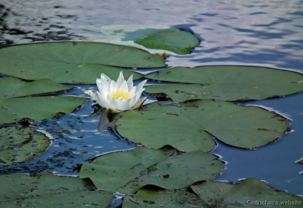 DSCF7230