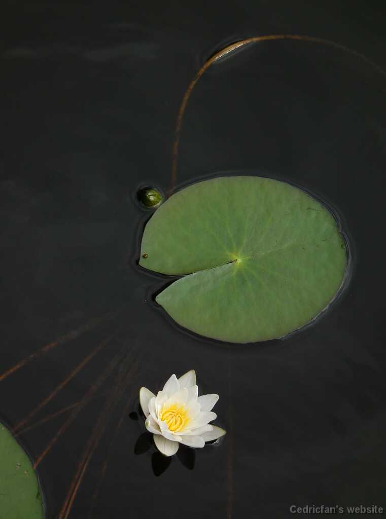 DSCF7262