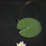 DSCF7262