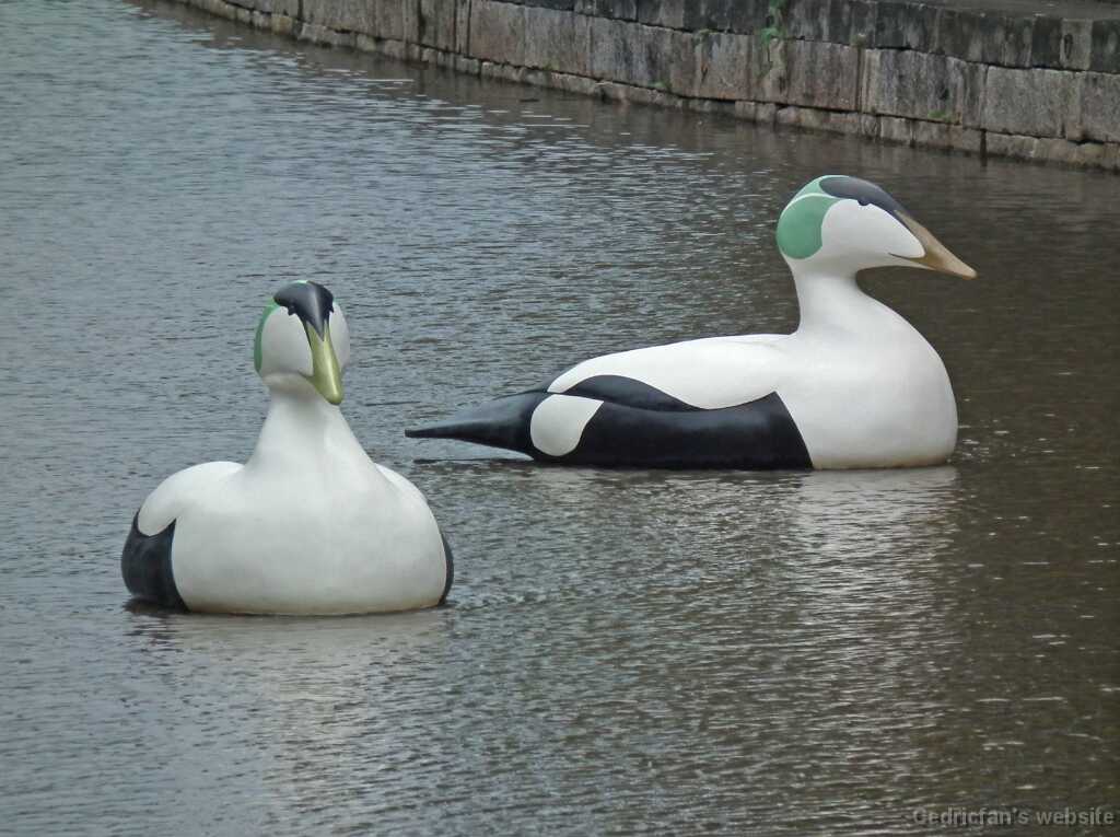 DSCF6668