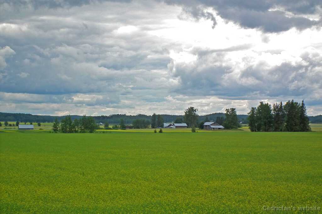 DSCF6948