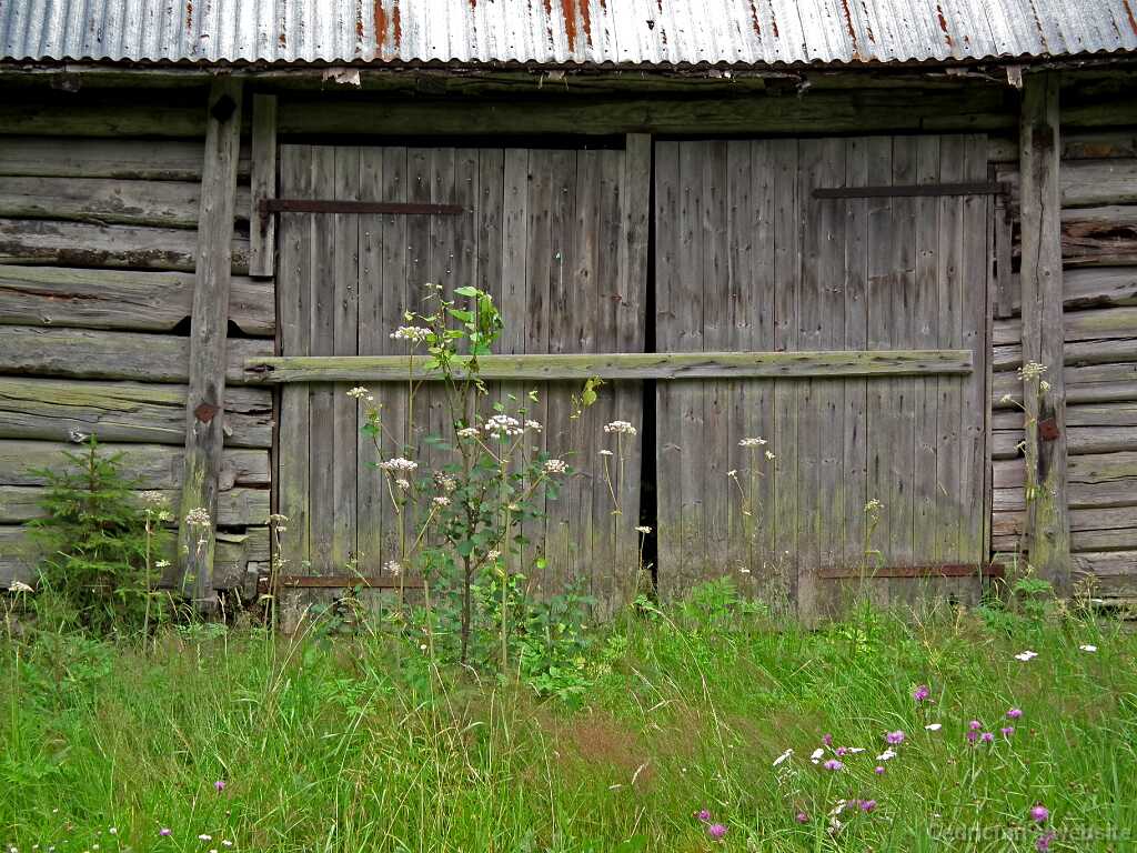 DSCF6953