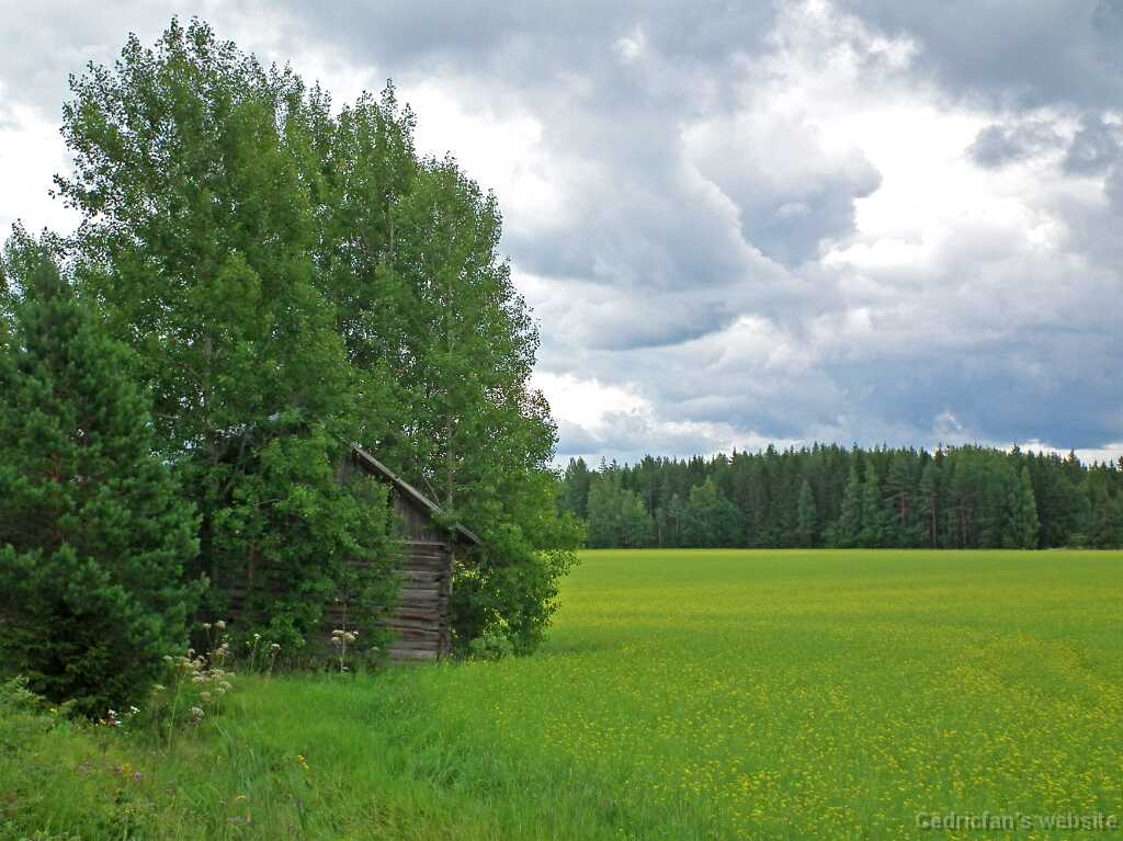 DSCF6961