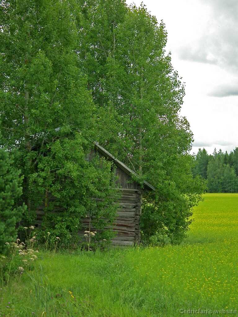DSCF6962