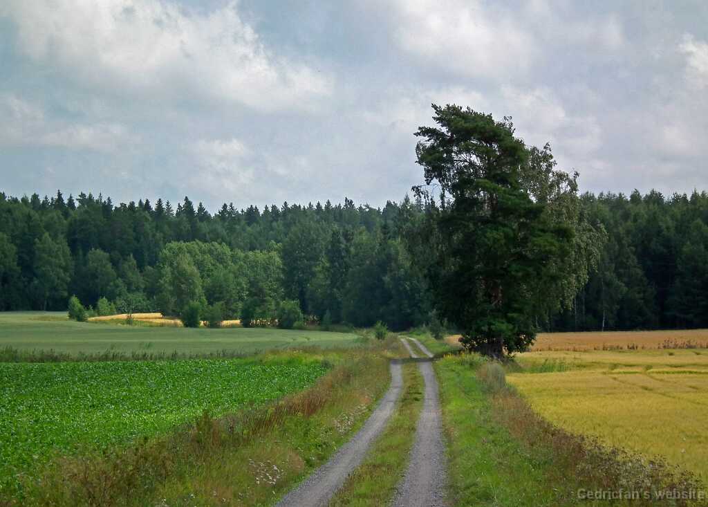 DSCF7023