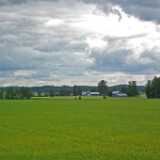 DSCF6948