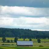 DSCF6950
