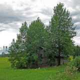 DSCF6951