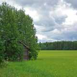 DSCF6961
