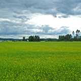 DSCF6964