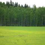 DSCF6965
