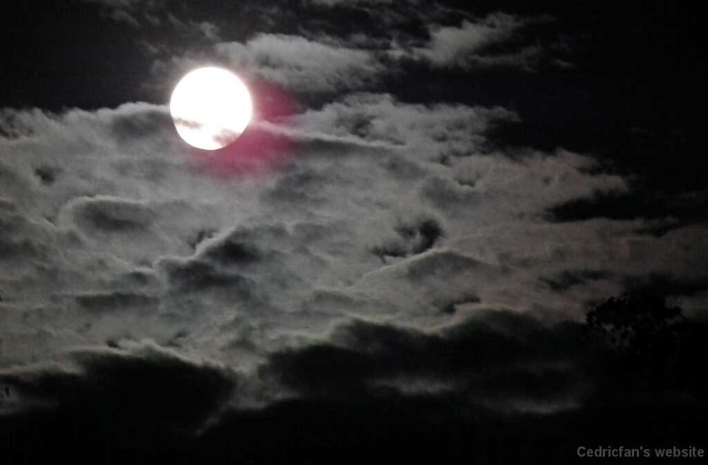 DSCF7368