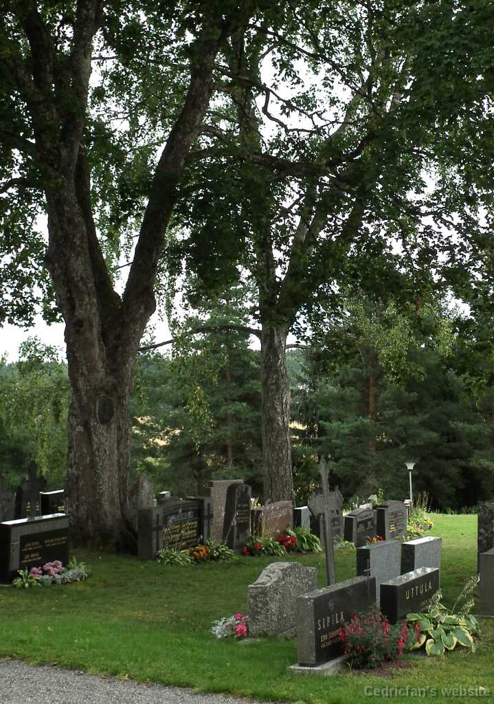DSCF7332