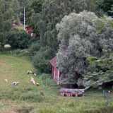 DSCF7321