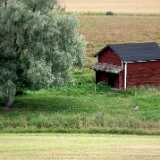 DSCF7323