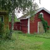 DSCF7342