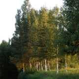DSCF7279