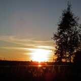 DSCF7280