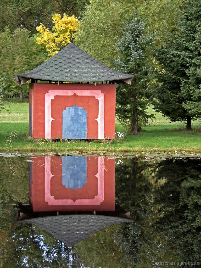 DSCF8348