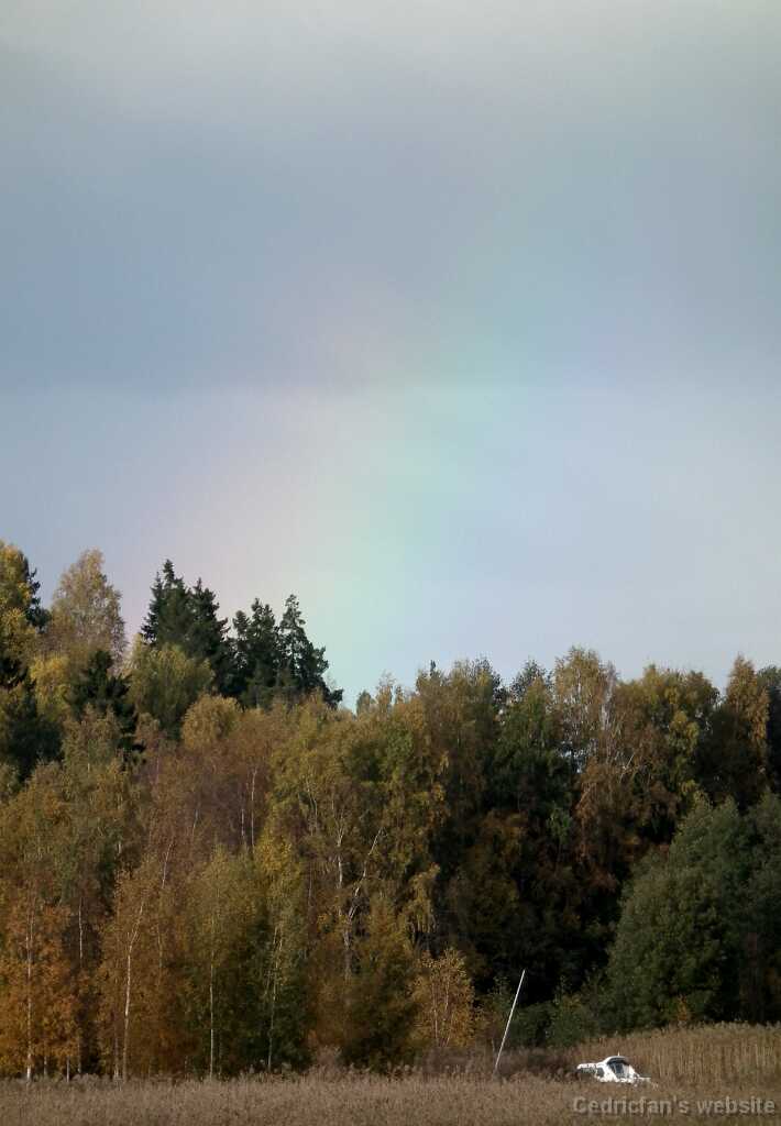 DSCF8356