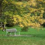DSCF8335