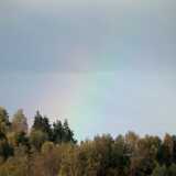 DSCF8356