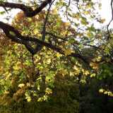 DSCF8357