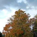 DSCF8368