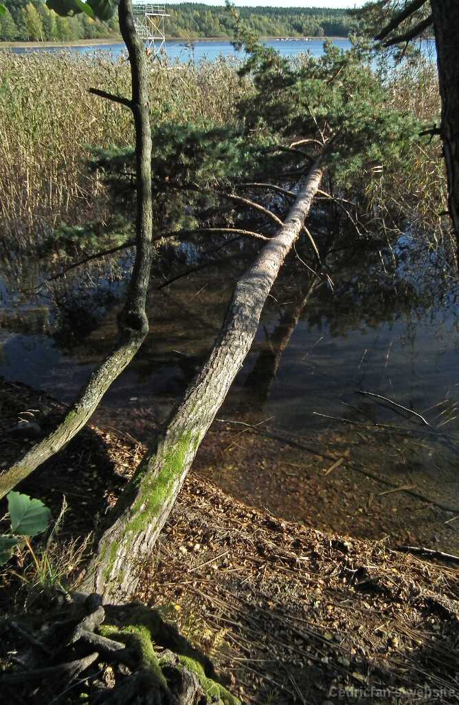 DSCF8285