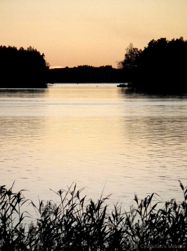 DSCF8294
