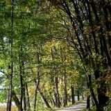 DSCF8267