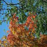 DSCF8273